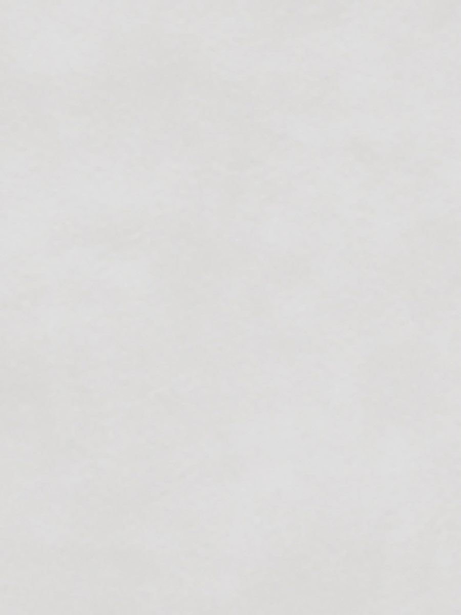 Concept Light Gray (1)