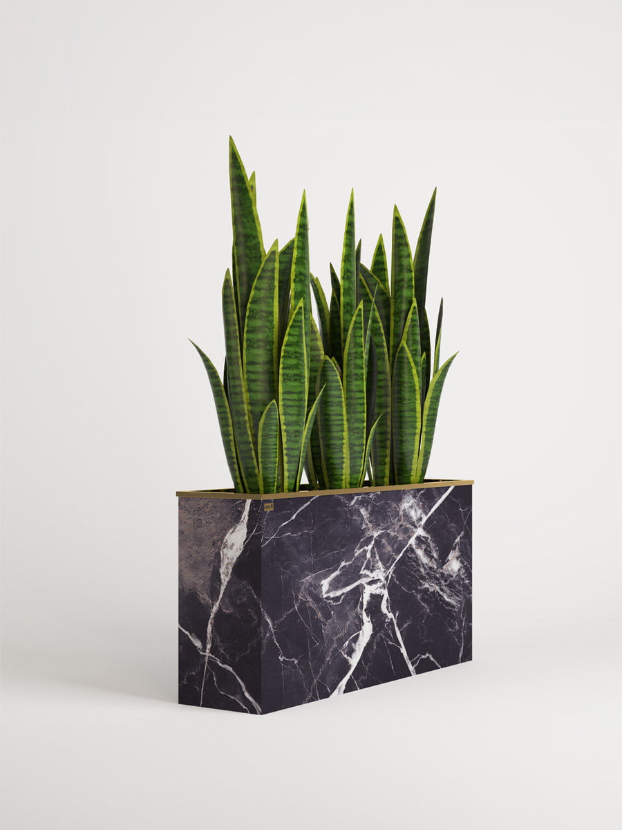 flowerbox2-web-version