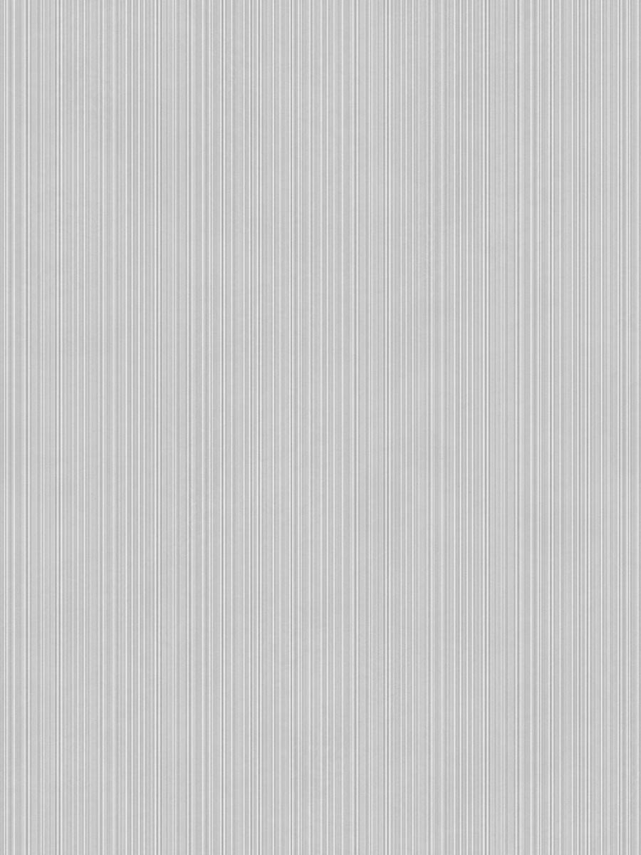 Concept Light Gray Stripe Texture