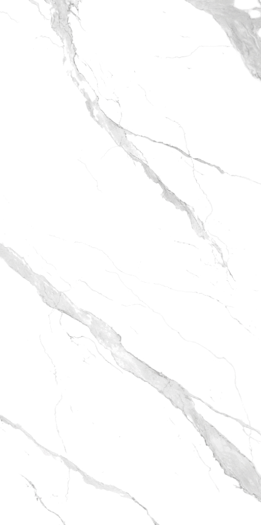 Statuario Bookmatch Texture