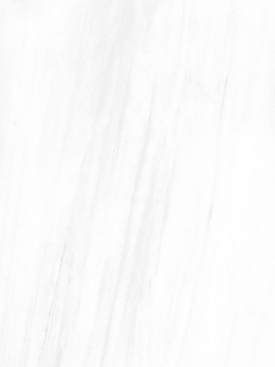 Elegant White Texture