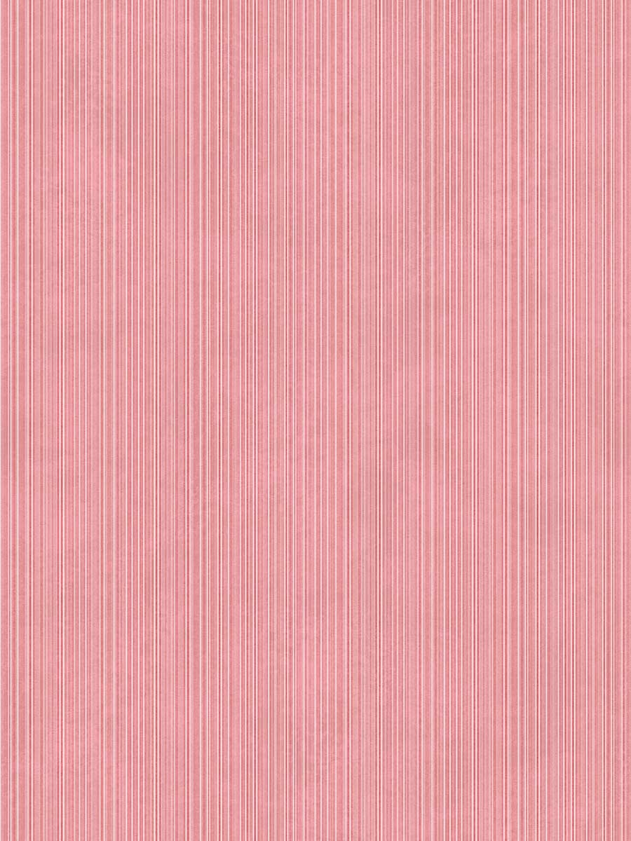 Concept Pink Stripe Texture