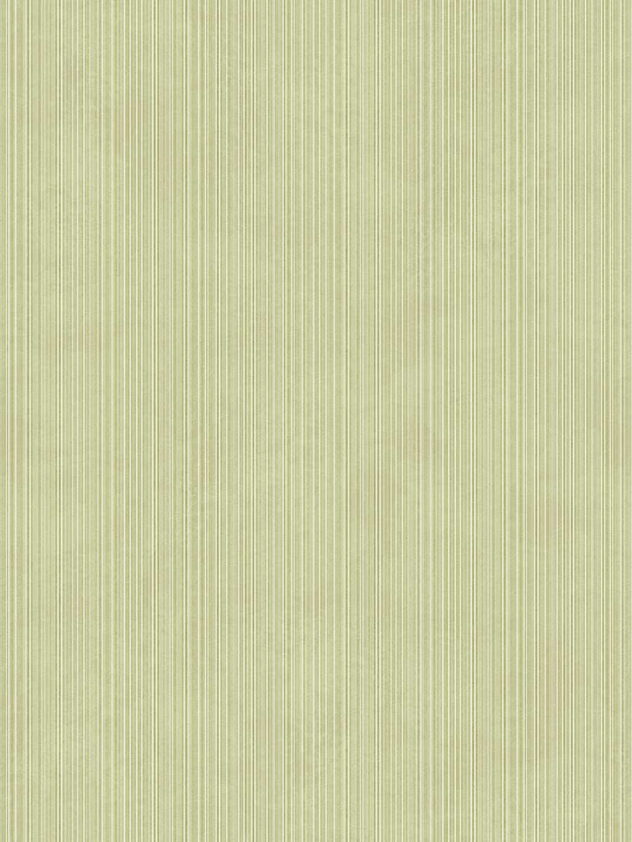 Concept Green Stripe Texture