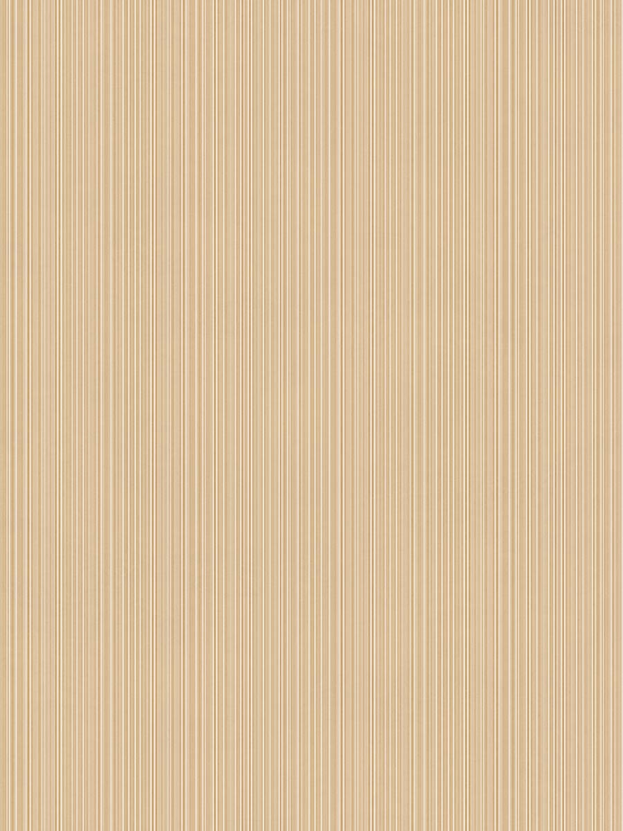 Concept Ivory Stripe Texture