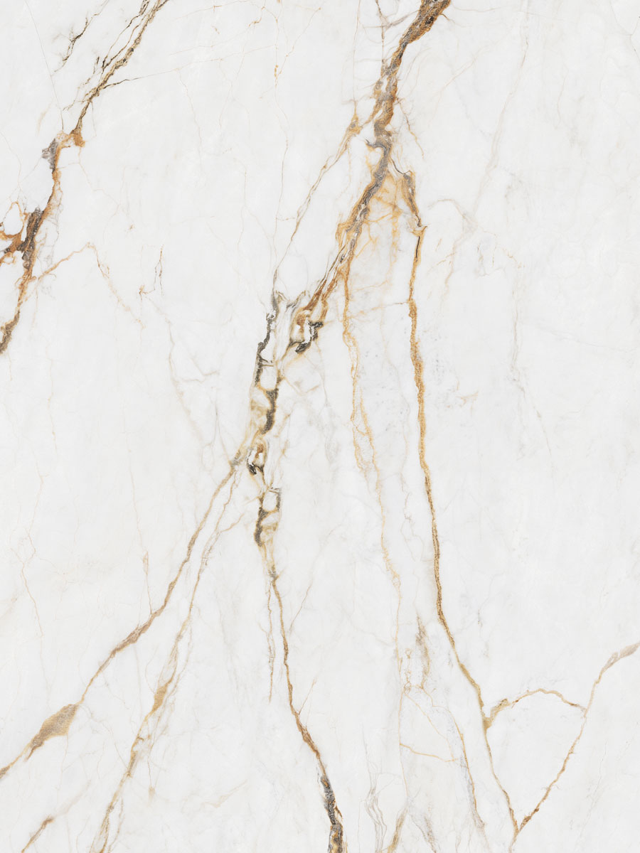 Mono Color light Gray Texture