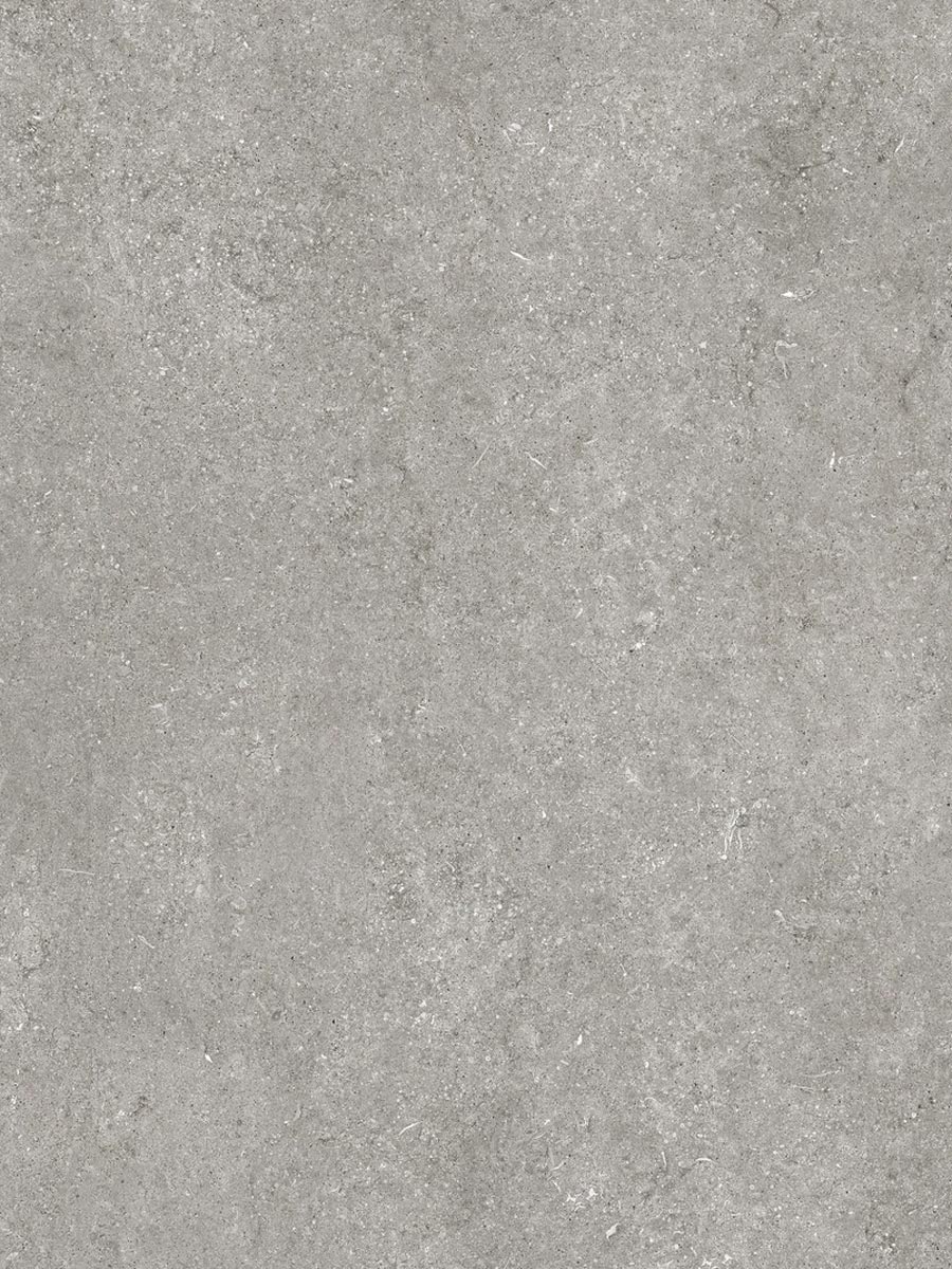 Sensi-Grey-Fossil-Texture