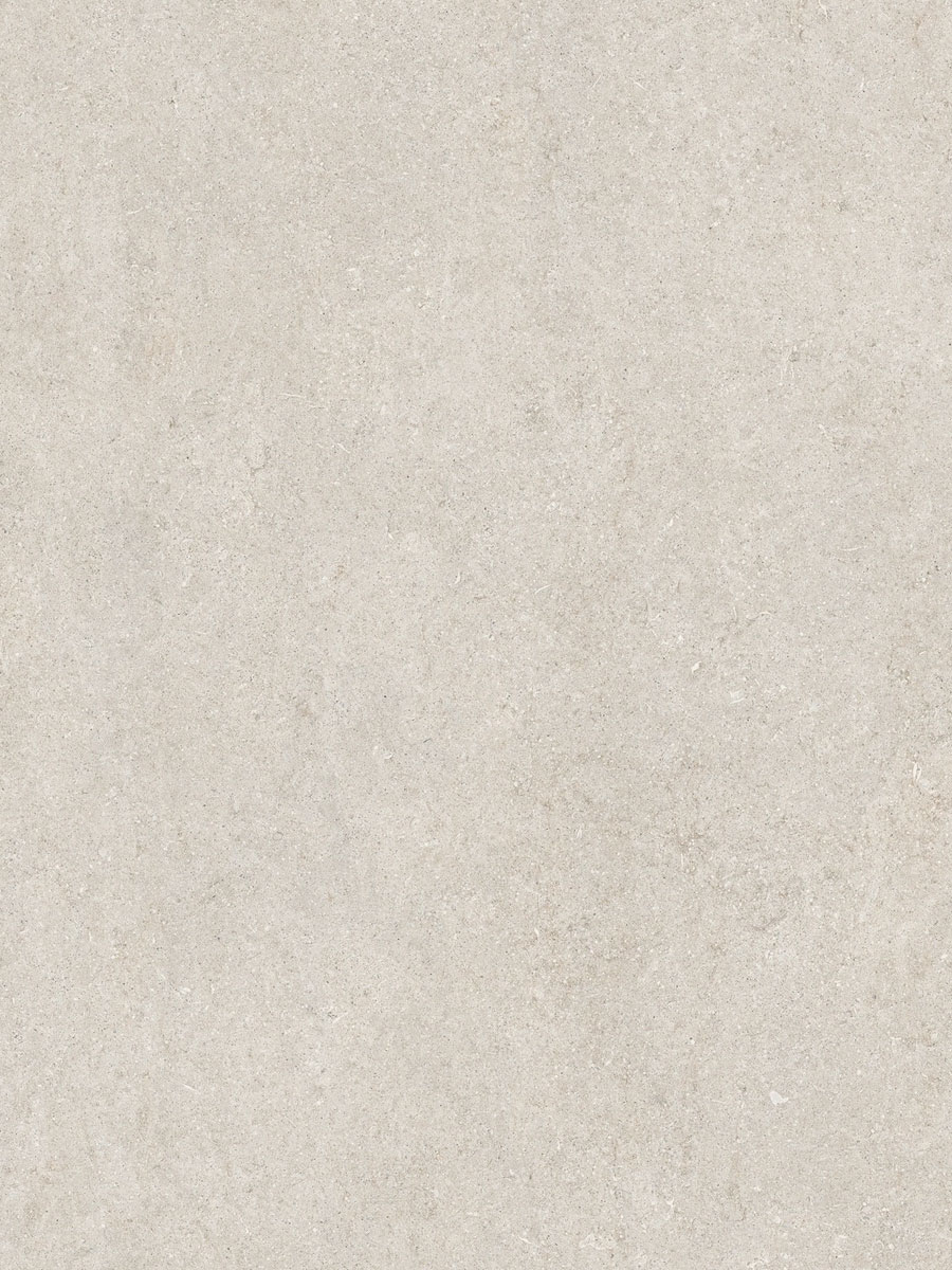 White-Fossil-Texture