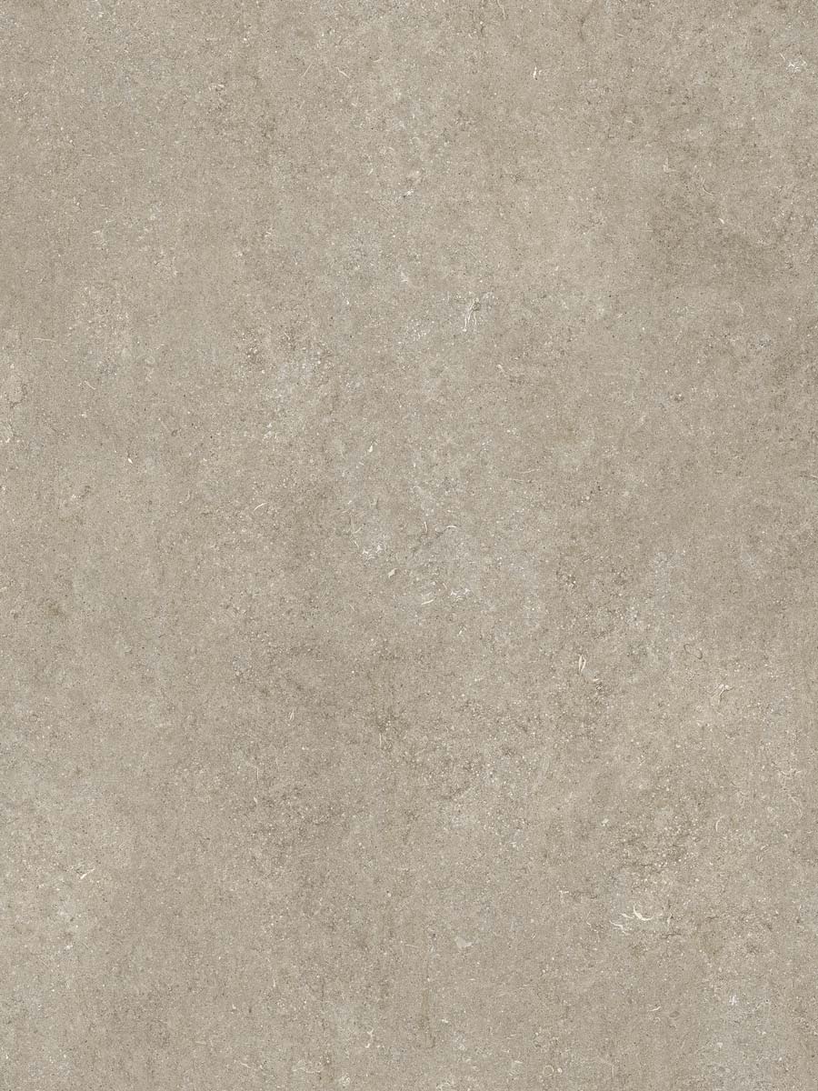 sensi-fossil-ivory-texture1